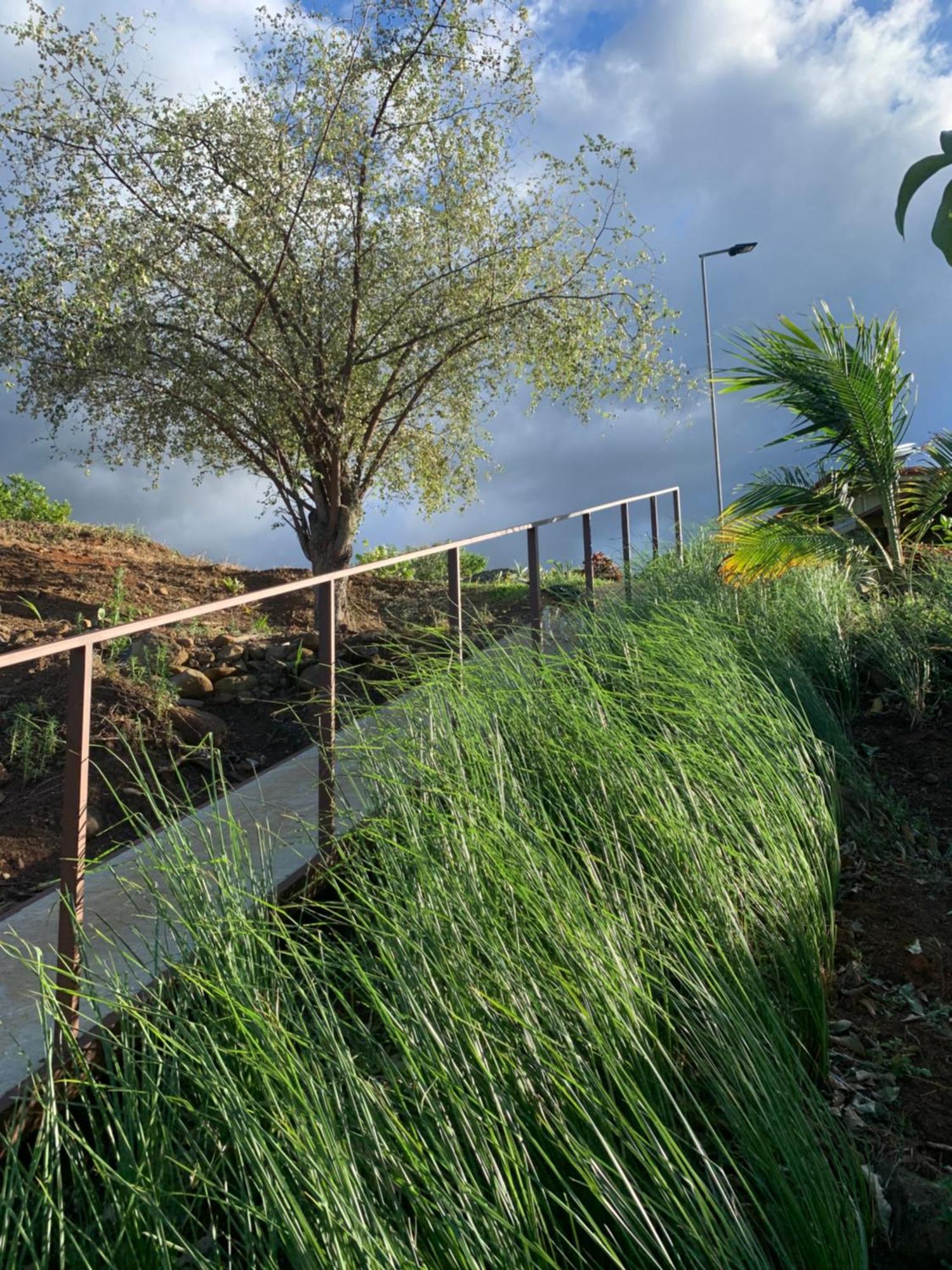 Conectar Con La Naturaleza Esparza ภายนอก รูปภาพ